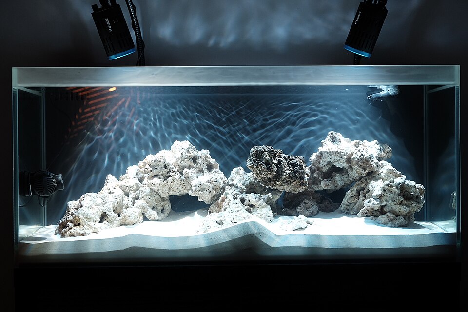 New aquarium with rocks and sand running empty during a fishless cycle