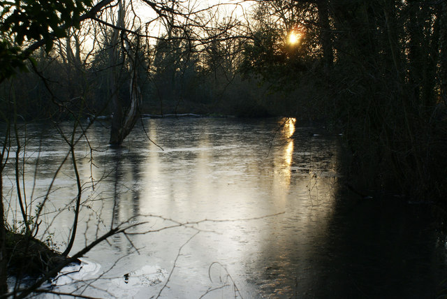 Thin ice covering a pond at sunset in winter