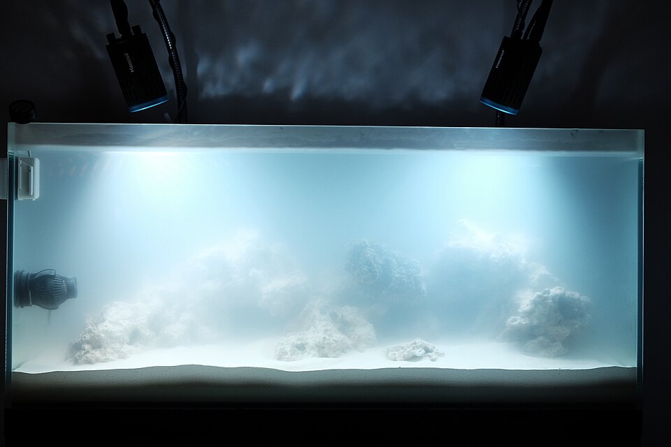 Newly set up aquarium with milky white cloudy water after adding substrate