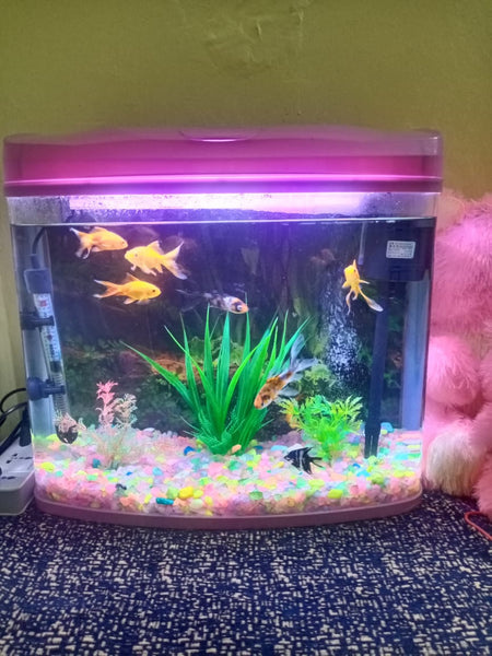 RS480A Moulded tank (Only tank )