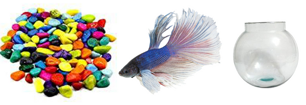 Betta Combo